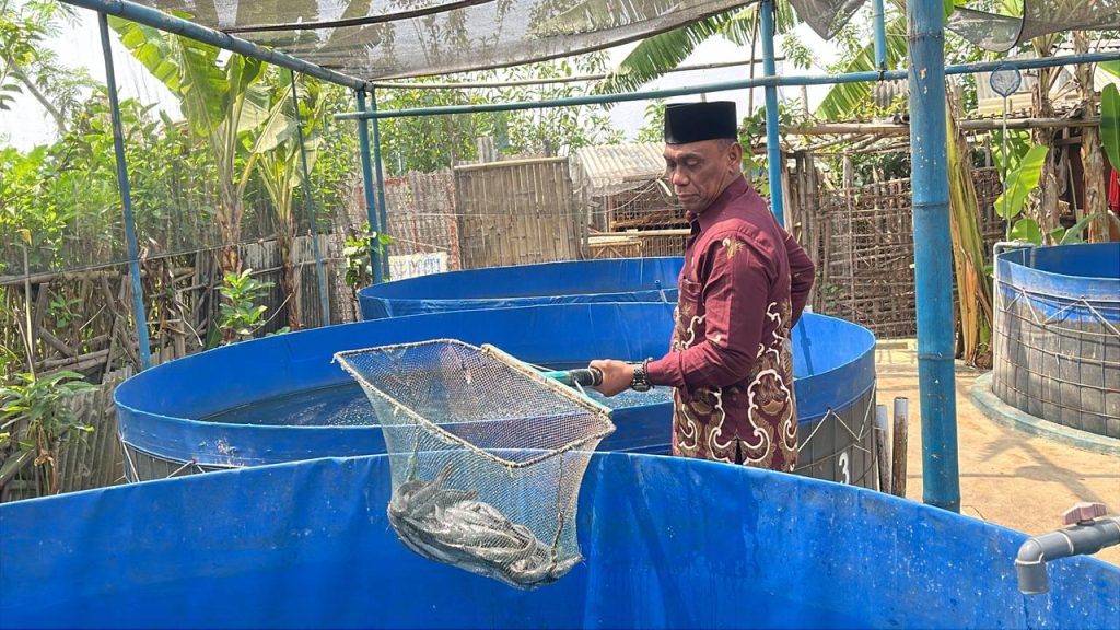 Panen Lele Berbuah Kepedulian, Pokdakan Sekar Kedaton Sedekahkan 20 Kg Lele untuk Warga Fakir Miskin
